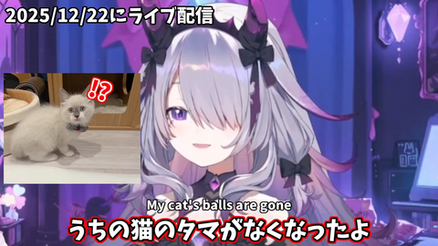 VTuberまとめ速報 V速(最新記事3)