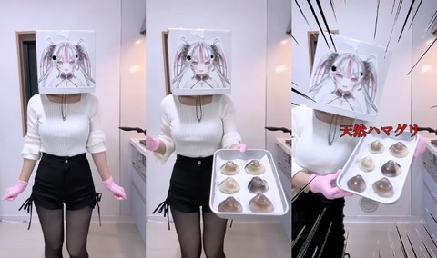 VTuberまとめ速報 V速(最新記事1)