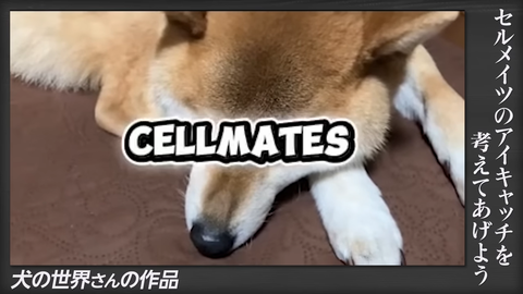 【にじさんじ】セルメイツ動画『みんなからもらったアイキャッチの熱量』実況感想まとめ | 【にじさんじ】セルメイツ動画『みんなからもらったアイキャッチの熱量』実況感想まとめ | 【にじさんじ】セルメイツ動画『みんなからもらったアイキャッチの熱量』実況感想まとめ | 【にじさんじ】セルメイツ動画『みんなからもらったアイキャッチの熱量』実況感想まとめ | 【にじさんじ】セルメイツ動画『みんなからもらったアイキャッチの熱量』実況感想まとめ | 【にじさんじ】セルメイツ動画『みんなからもらったアイキャッチの熱量』実況感想まとめ | 【にじさんじ】セルメイツ動画『みんなからもらったアイキャッチの熱量』実況感想まとめ | 【にじさんじ】セルメイツ動画『みんなからもらったアイキャッチの熱量』実況感想まとめ | VTuberまとめ速報 V速(12095113114975_8) 【にじさんじ】セルメイツ動画『みんなからもらったアイキャッチの熱量』実況感想まとめ | 【にじさんじ】セルメイツ動画『みんなからもらったアイキャッチの熱量』実況感想まとめ | 【にじさんじ】セルメイツ動画『みんなからもらったアイキャッチの熱量』実況感想まとめ | 【にじさんじ】セルメイツ動画『みんなからもらったアイキャッチの熱量』実況感想まとめ | 【にじさんじ】セルメイツ動画『みんなからもらったアイキャッチの熱量』実況感想まとめ | 【にじさんじ】セルメイツ動画『みんなからもらったアイキャッチの熱量』実況感想まとめ | 【にじさんじ】セルメイツ動画『みんなからもらったアイキャッチの熱量』実況感想まとめ | 【にじさんじ】セルメイツ動画『みんなからもらったアイキャッチの熱量』実況感想まとめ | VTuberまとめ速報 V速(12095113114975_8)